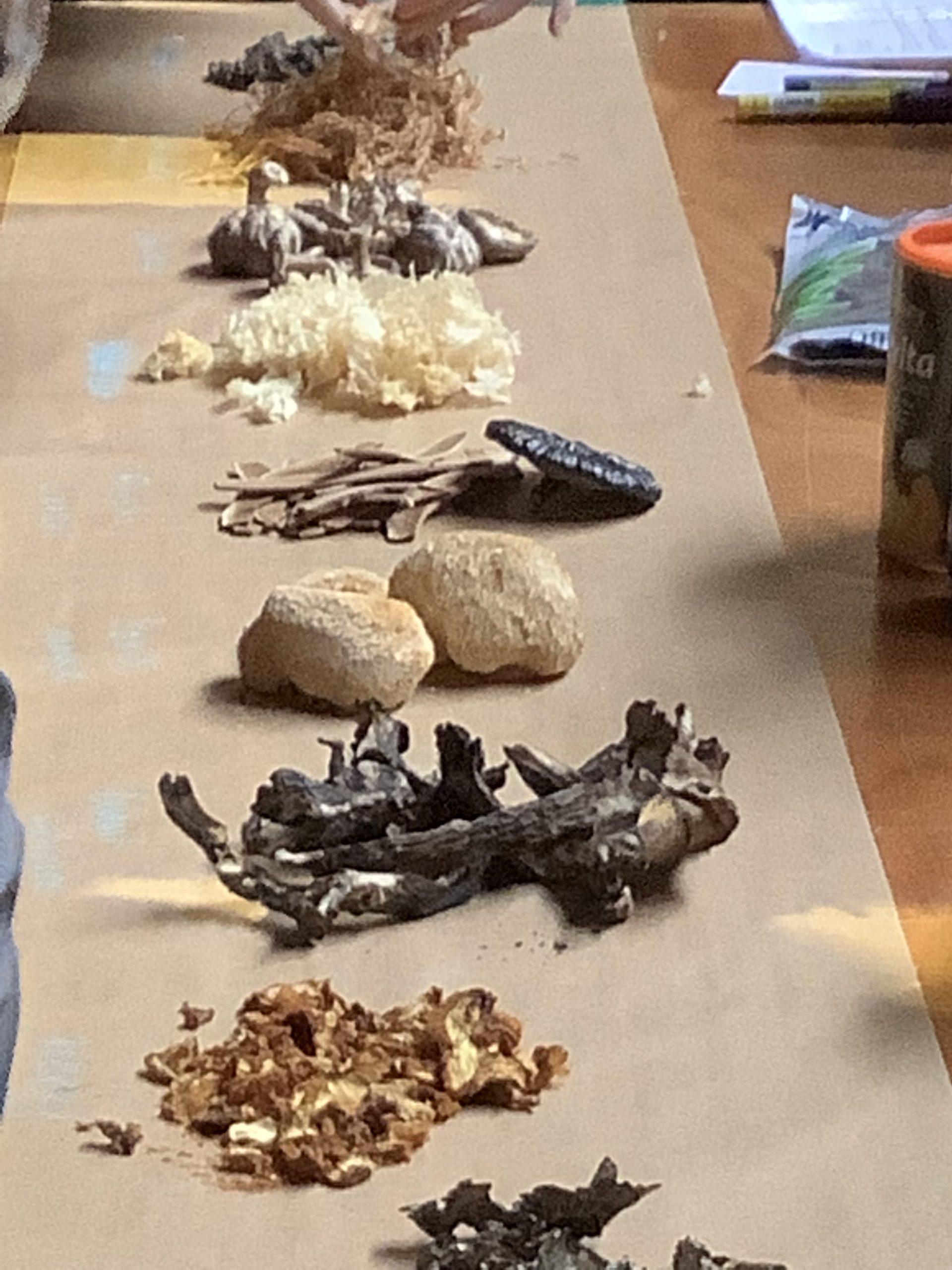 Fungifest medicinal mushroom broth • Ellie Doney